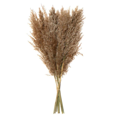 Set of 10 Pcs Natural Dried Grass Boho Home Decor (20 inch Length)