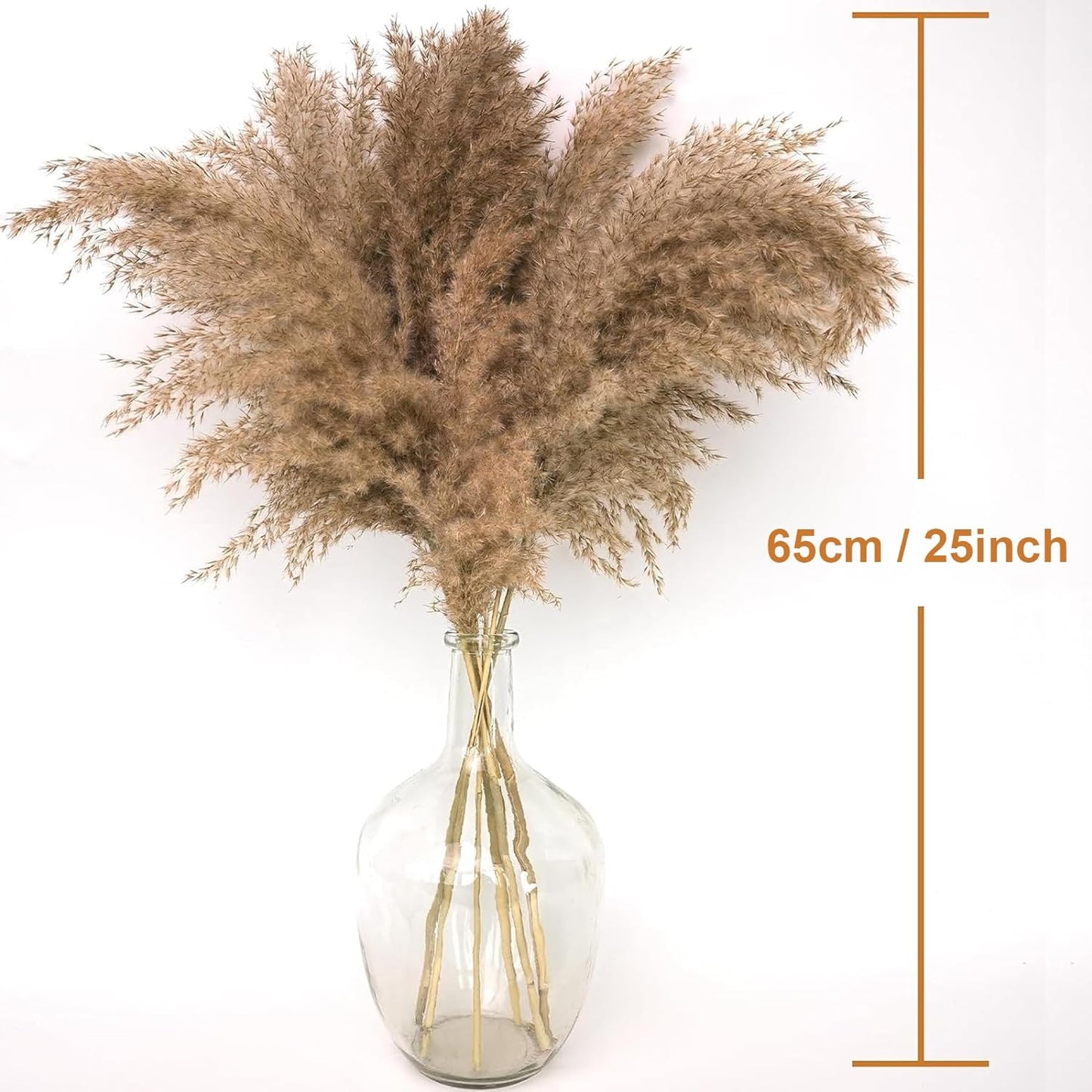 Set of 10 Pcs Natural Dried Grass Boho Home Decor (20 inch Length)